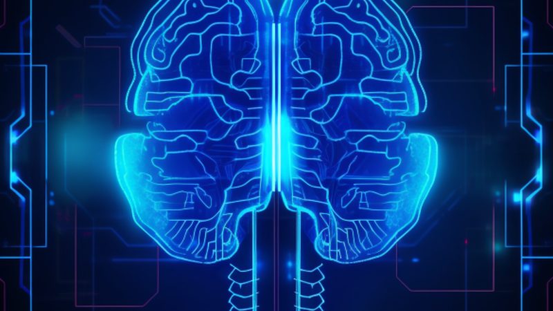 语音识别模块：低成本背后的技术考量**